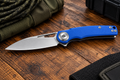 DreamTech D4134 Blue G10 D2 Pivot Button Lock EDC Knife