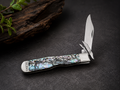 Case XX Smooth Genuine Abalone Cheetah Cub – 811 1/2L SS – #12040 – 2026 Vault Release