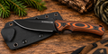 BladeBox Sabertooth D2 Fixed Blade Knife – Orange & Black G10