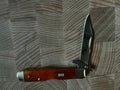 New in box - Tequila Sunrise Cheetah Cub - Dad