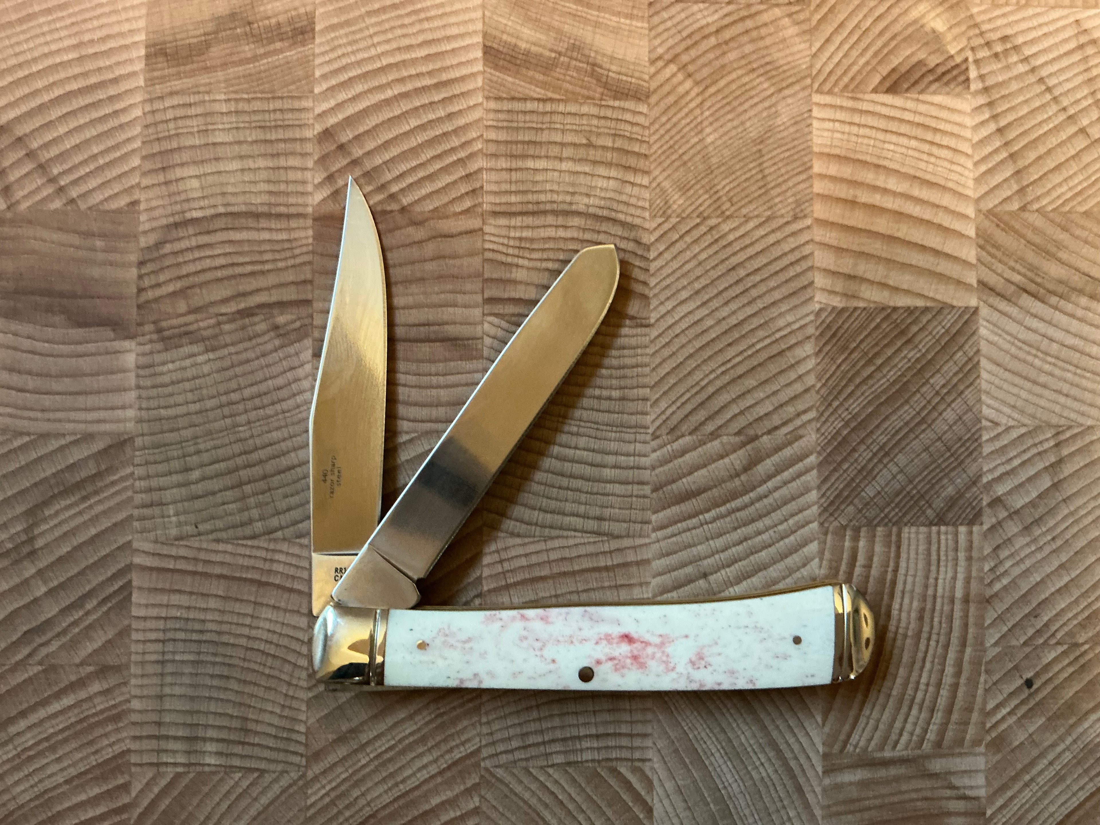 Rough Rider Appaloosa Trapper